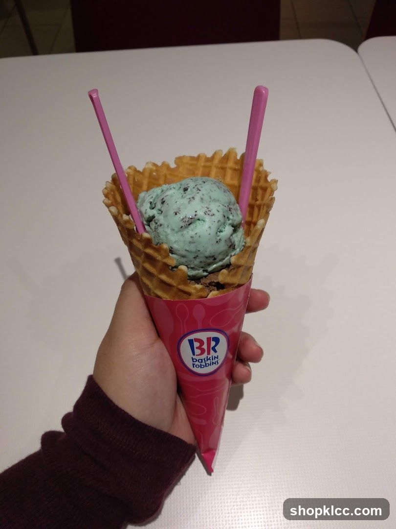 Mint Chocolate Chip Ice Cream Cone