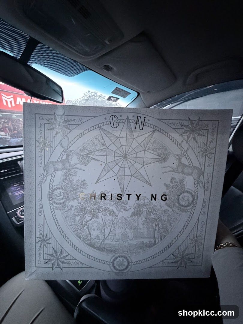 Christy Ng Box
