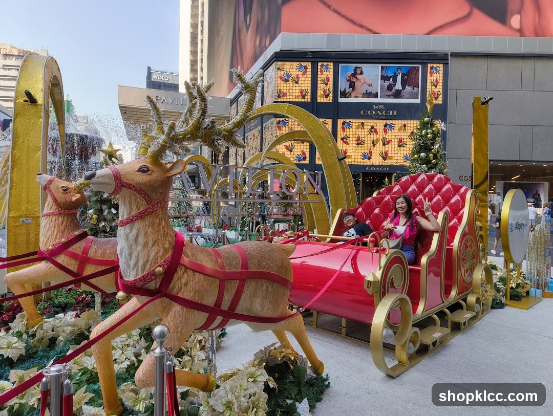 Christmas Sleigh Display
