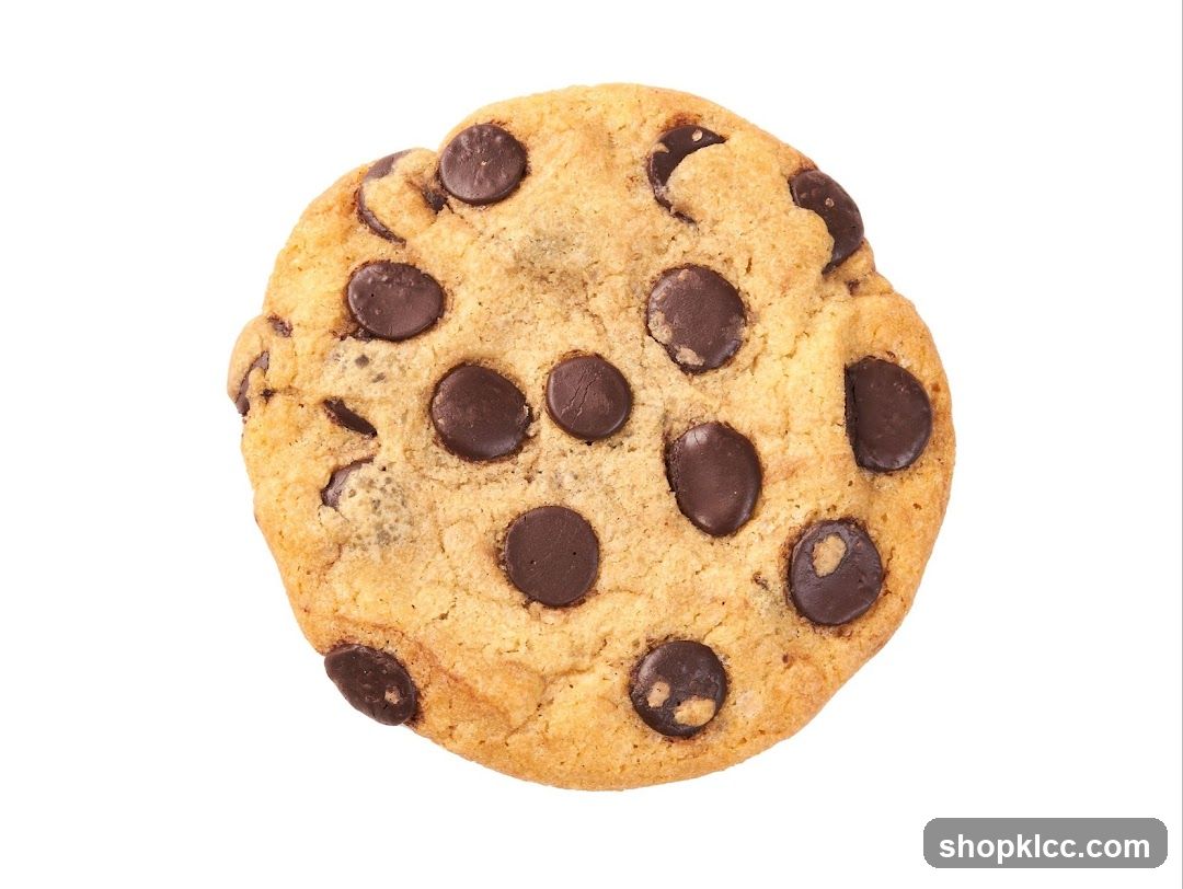 Chocolate Chip Cookie