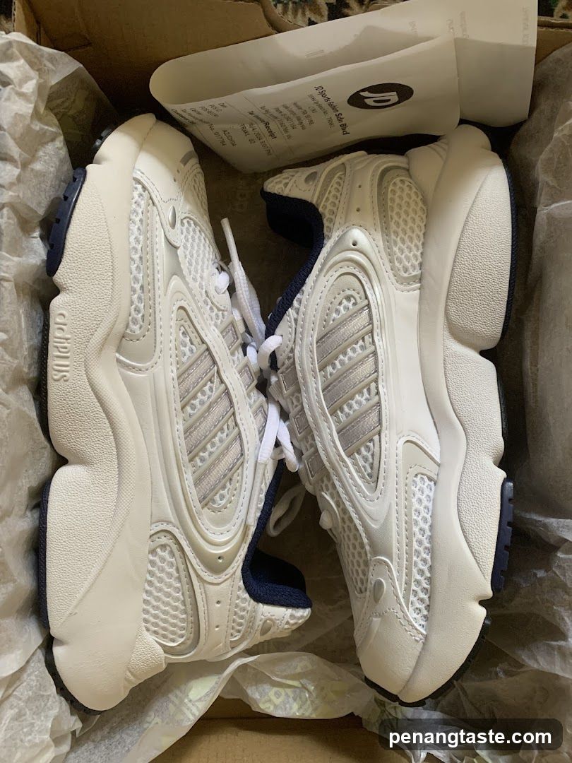 White Sneakers in a Box