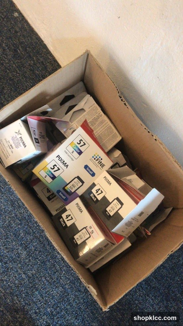Printer Ink Cartridges