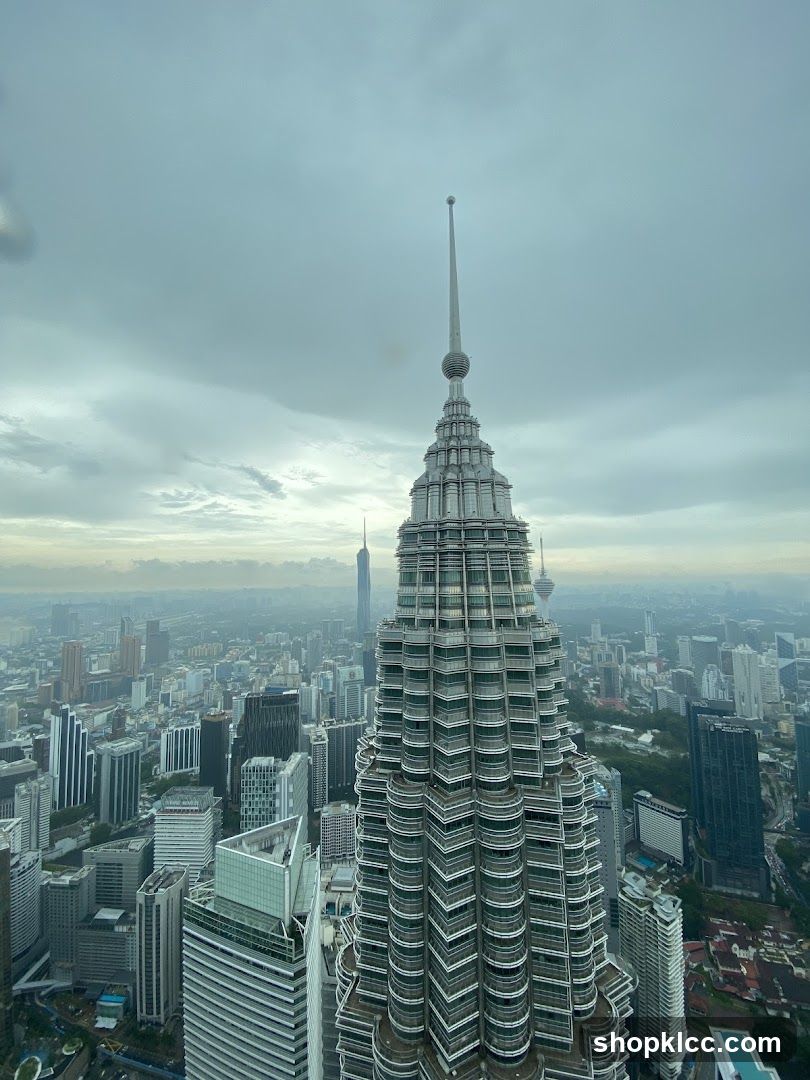 Cityscape with Twin Towers