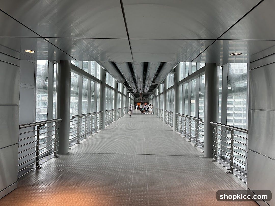 Modern Elevated Walkway