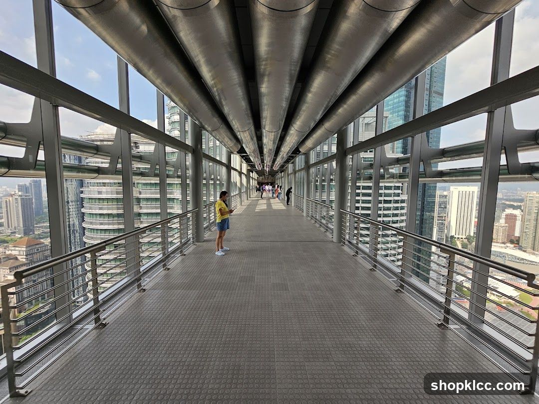 Skybridge with City View