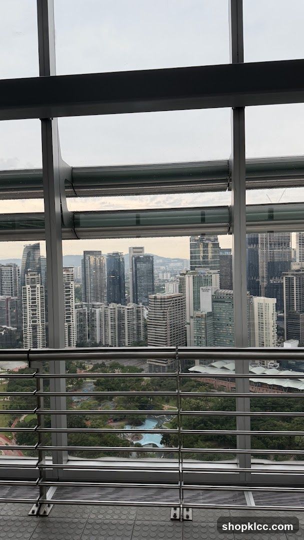Cityscape View from Above