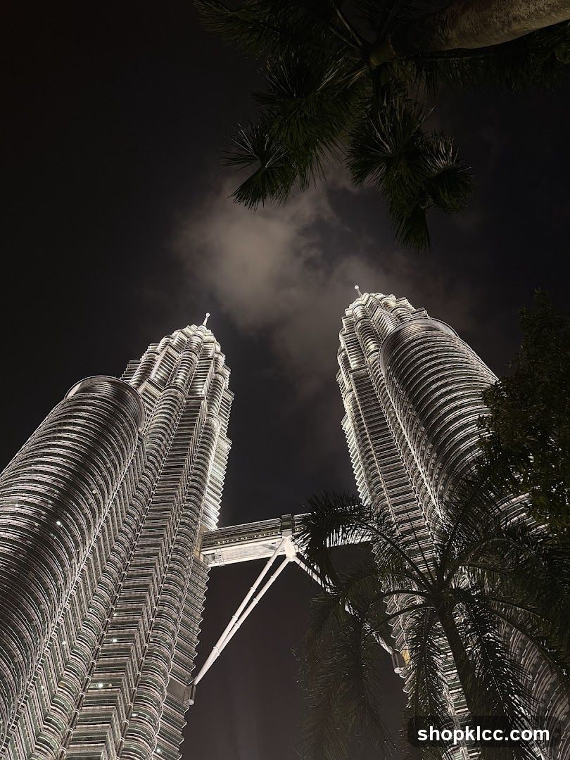 Petronas Towers at Night