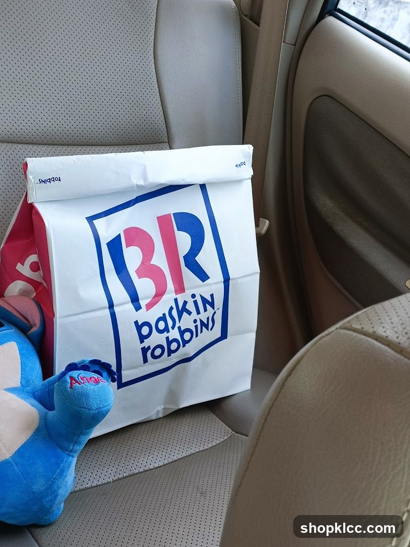 Baskin Robbins Bag