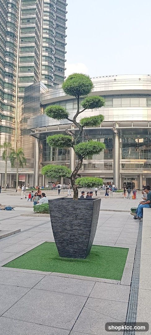 Outdoor Plaza with Modern Architecture