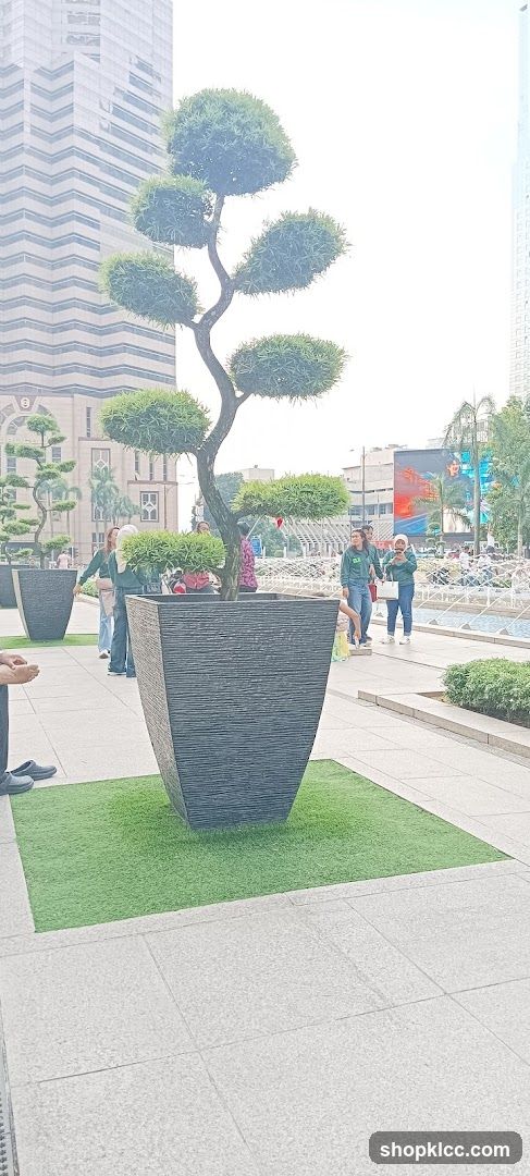 Outdoor plaza with decorative trees and people