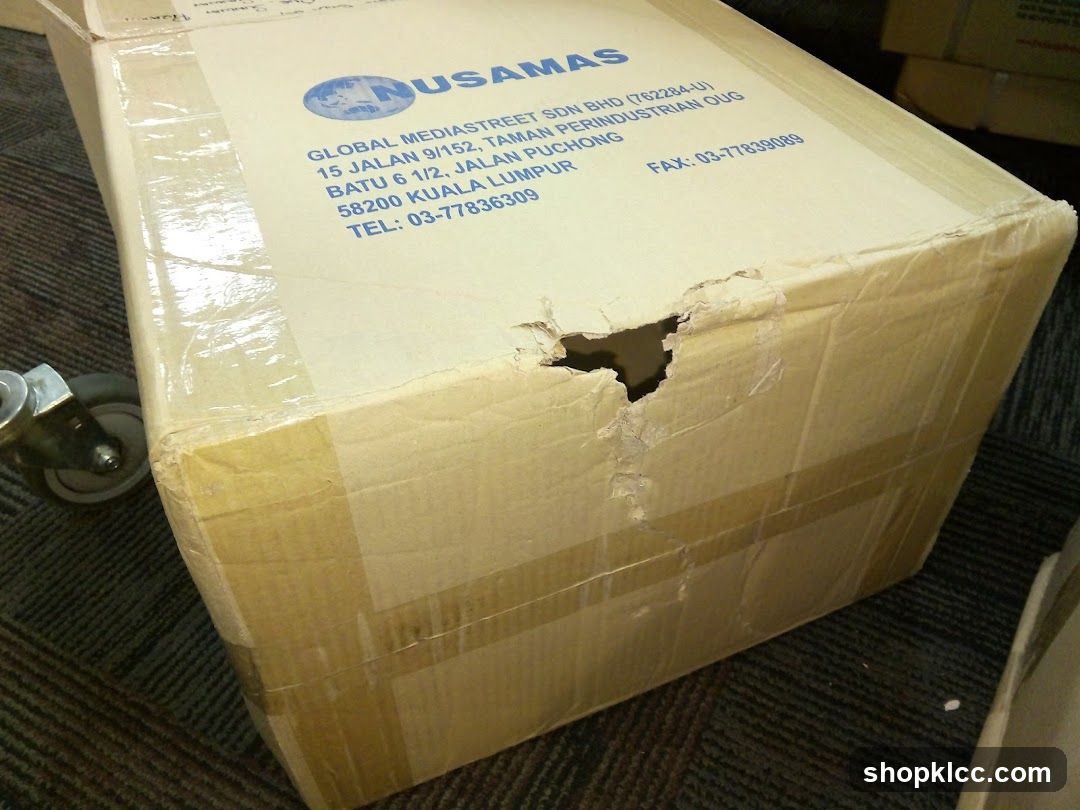Damaged Cardboard Box