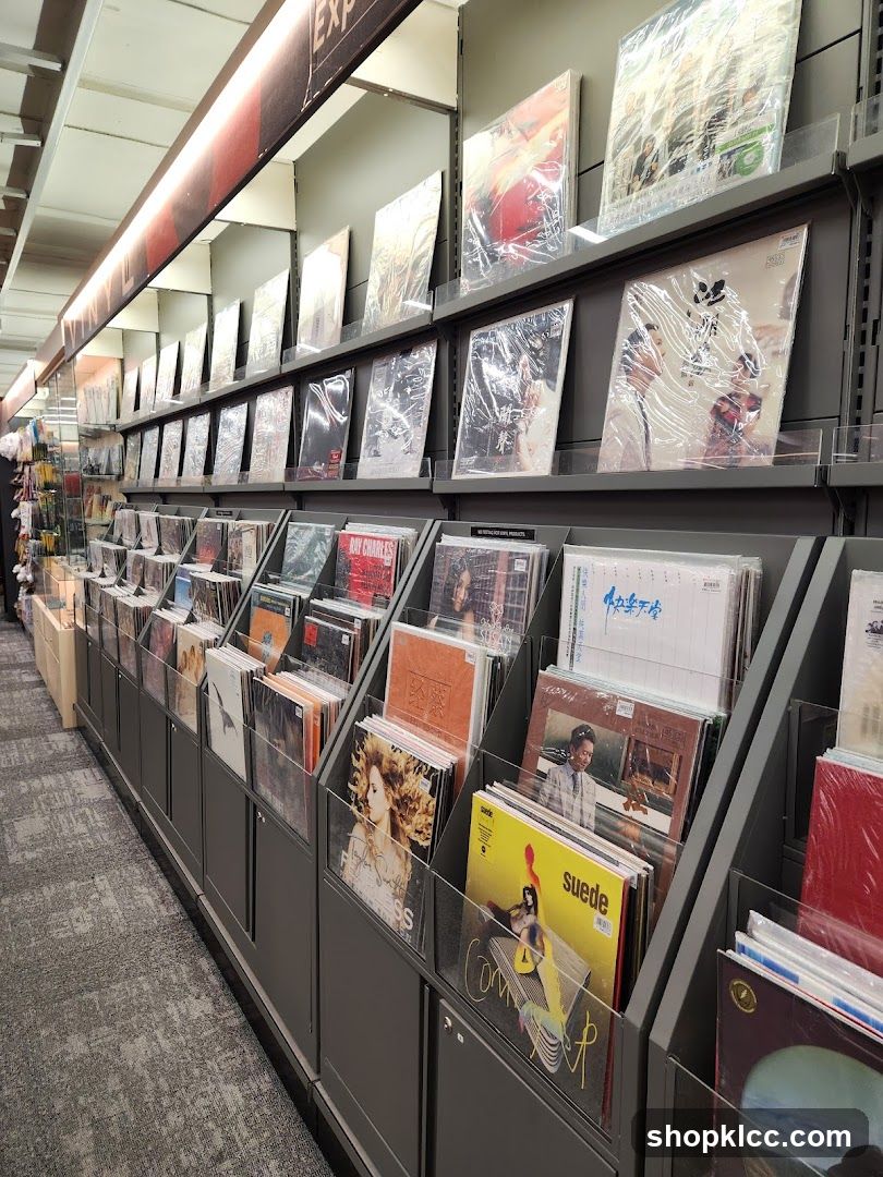 Record Store Display
