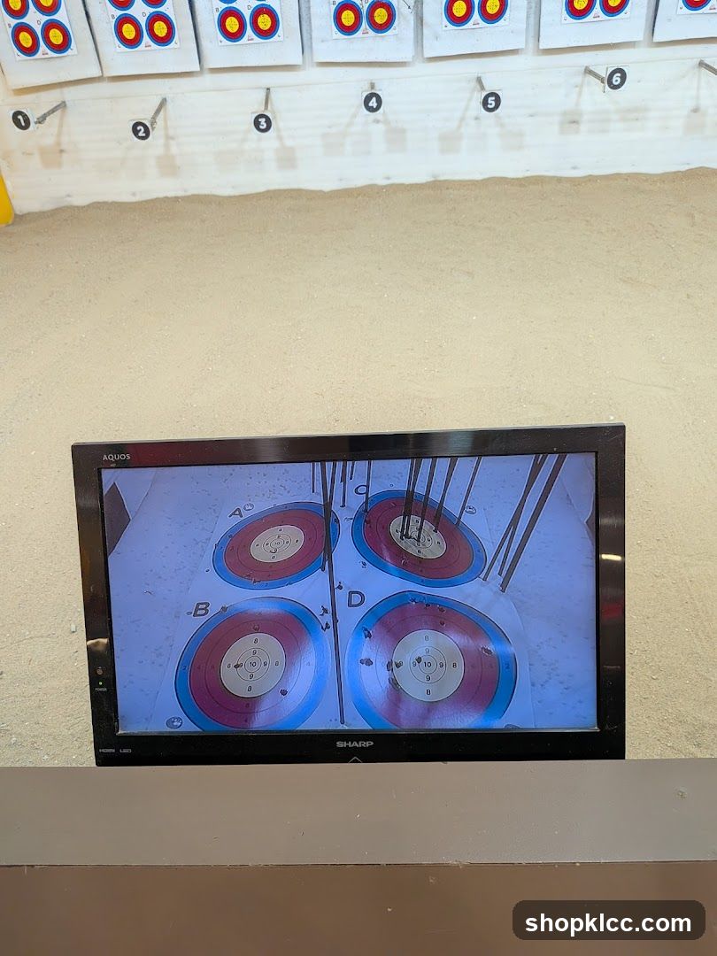 Archery Targets Displayed on Screen