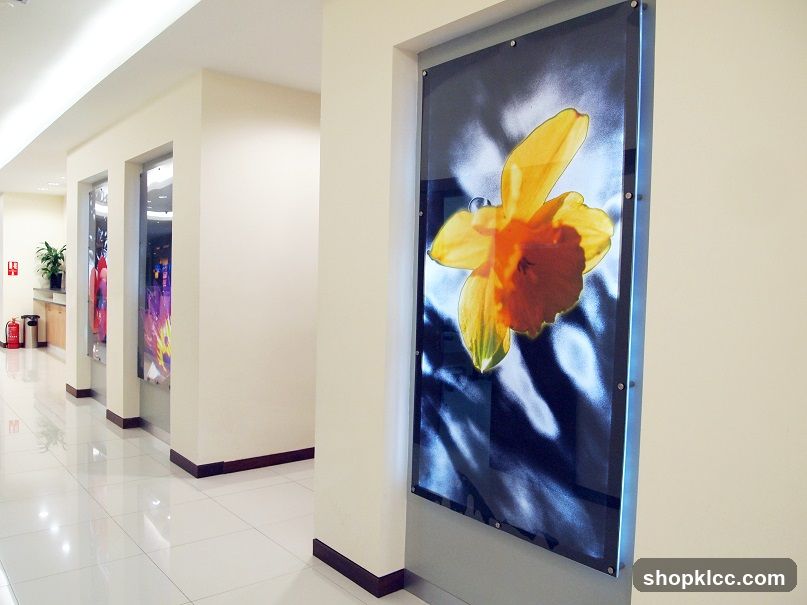 Hallway with Artwork