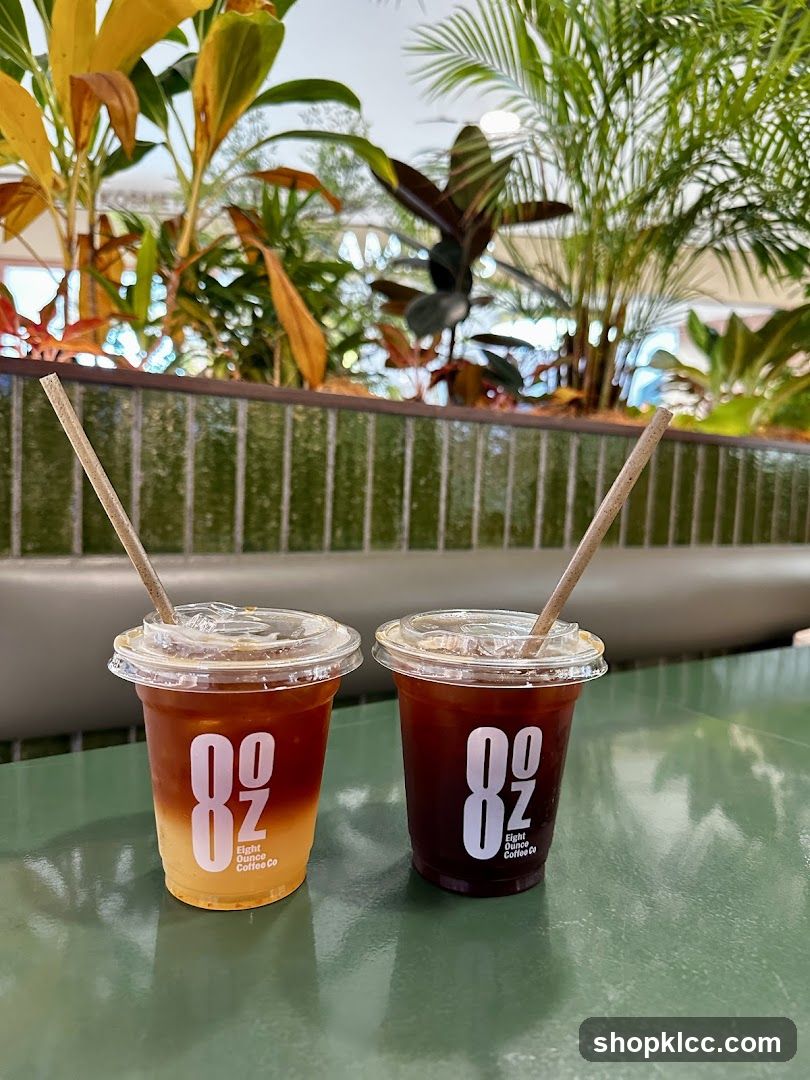 Two Iced Coffee Drinks