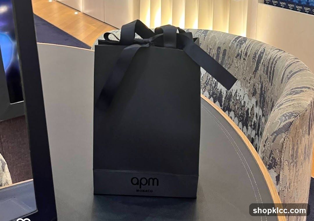 Black Gift Bag with Ribbon