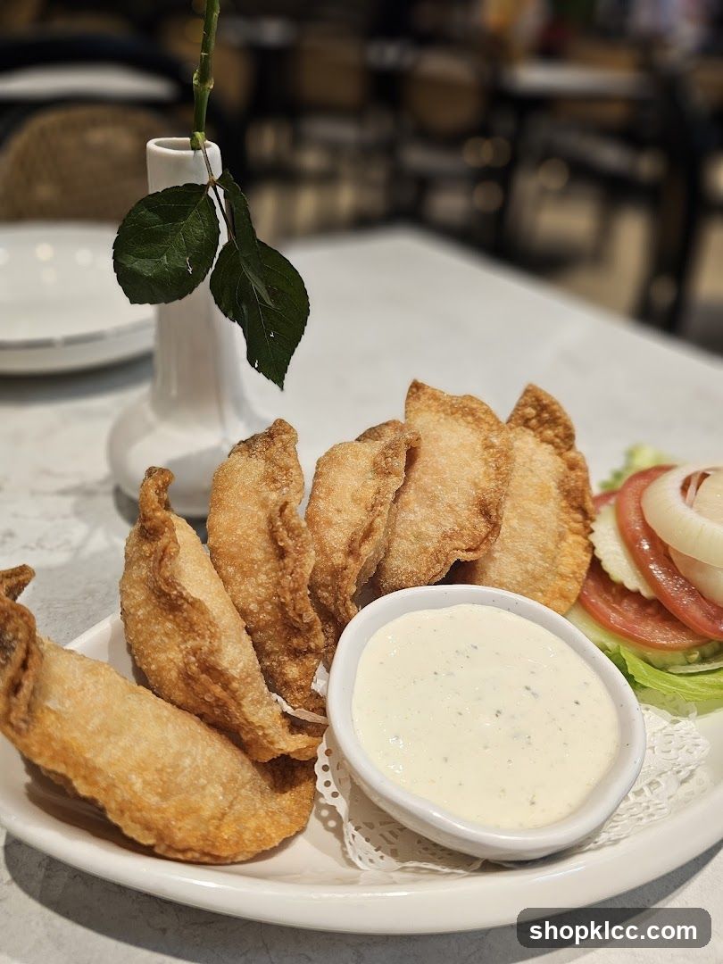 Fried Dumplings with Dip