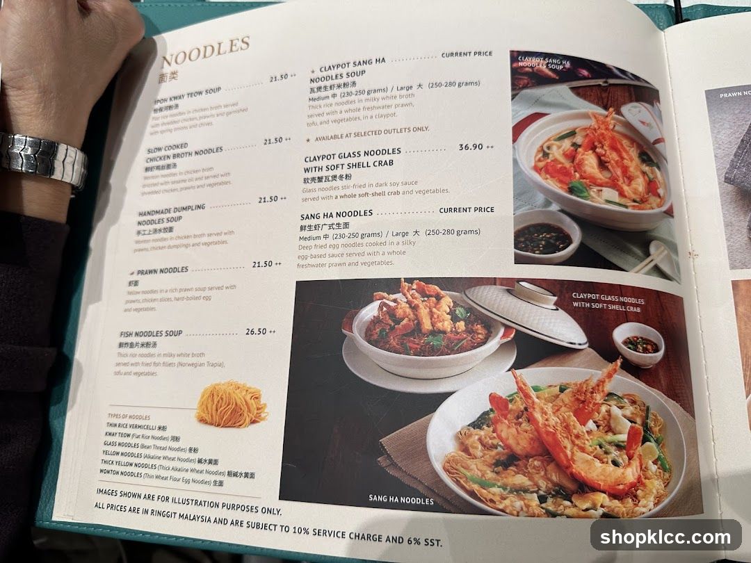 NOODLES