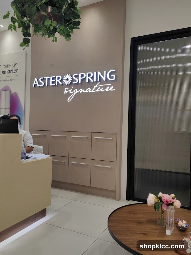 Interior of Aster Spring Signature