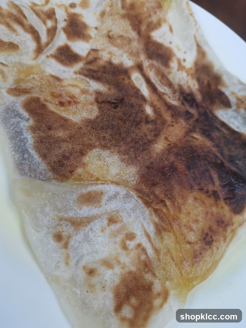 Roti Canai