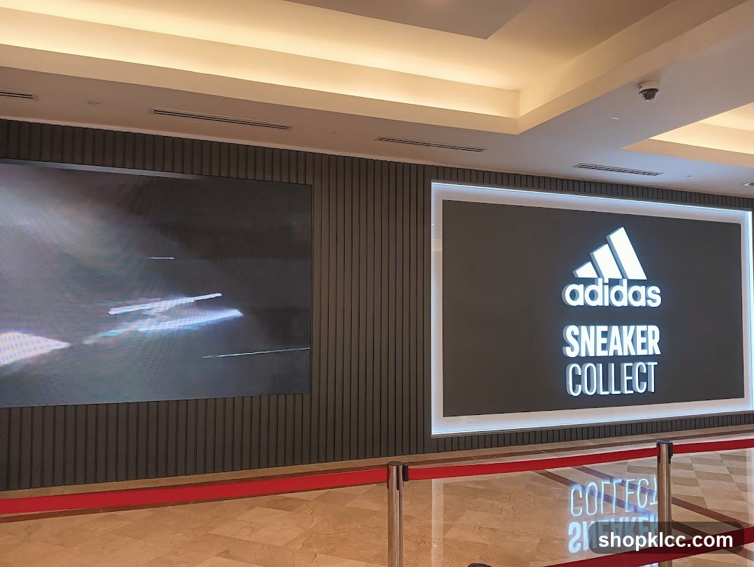 Adidas Sneaker Collect Display