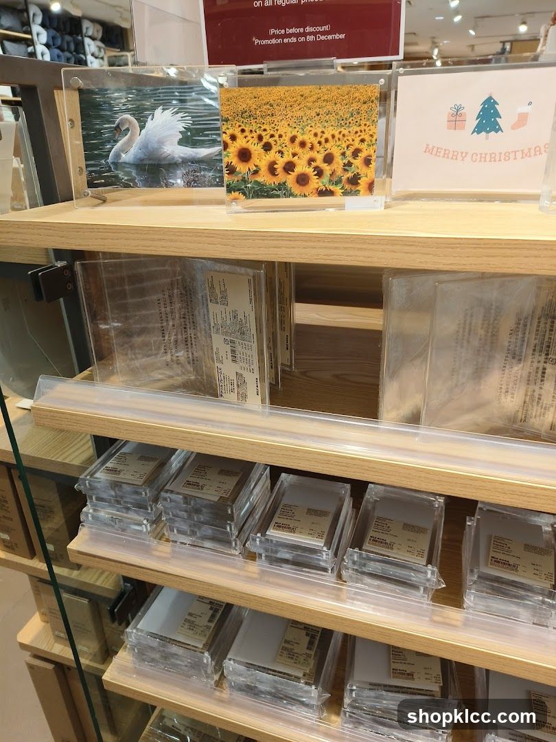 Store Display with Artwork and Christmas Card