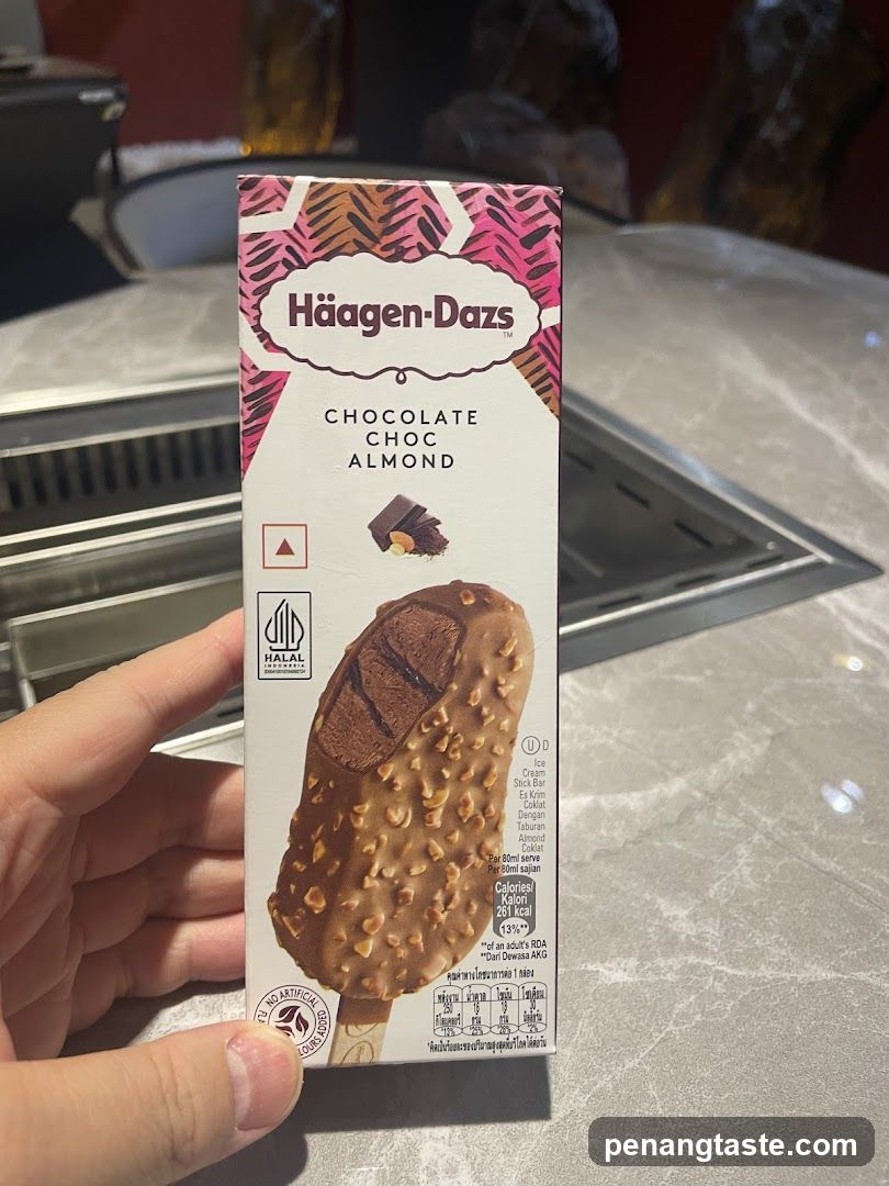 Häagen-Dazs Chocolate Choc Almond Ice Cream Bar