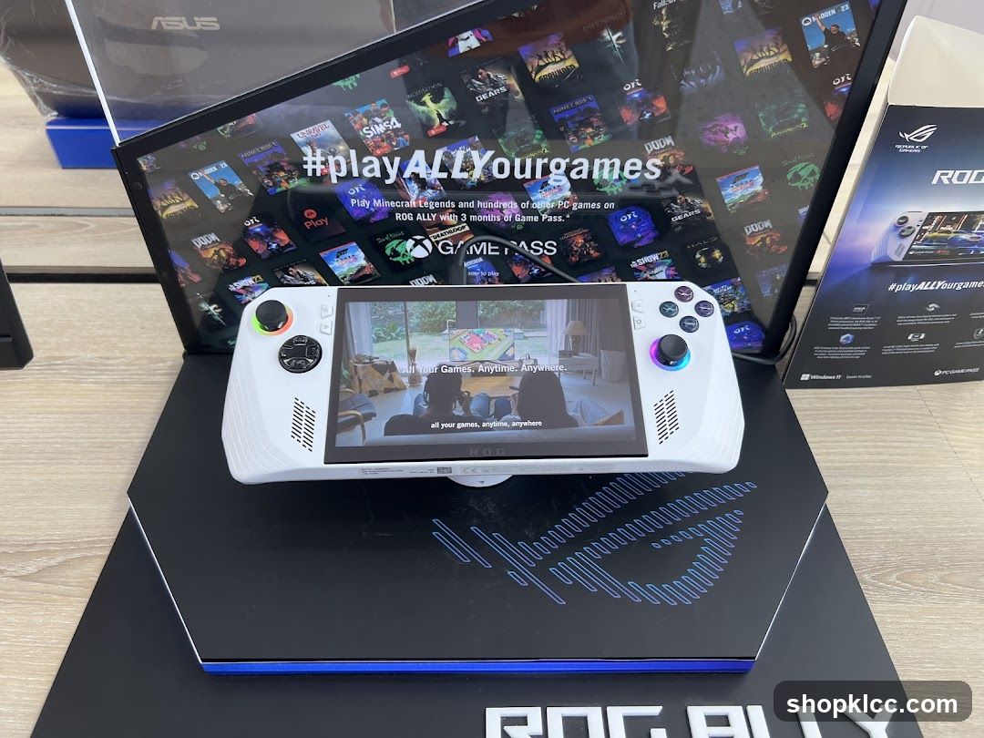 ROG Ally Gaming Device Display