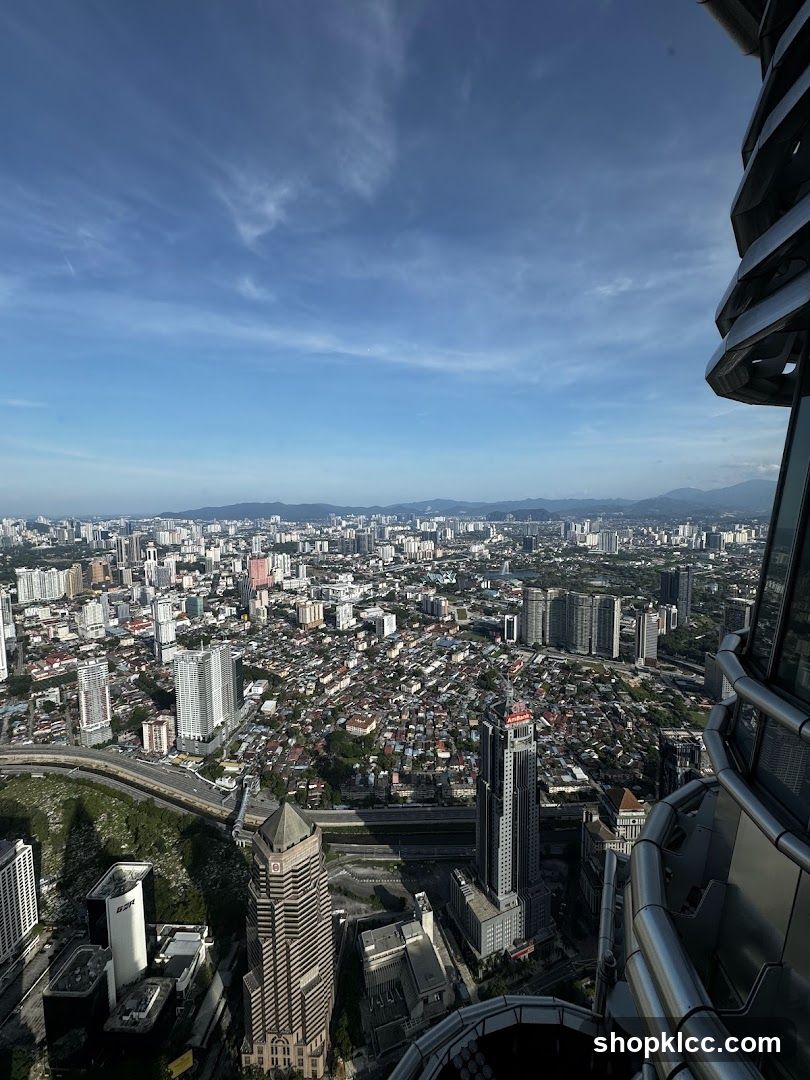 Cityscape from a high vantage point