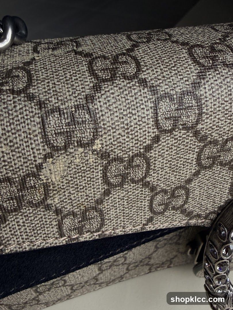 Close-up of Gucci bag detail
