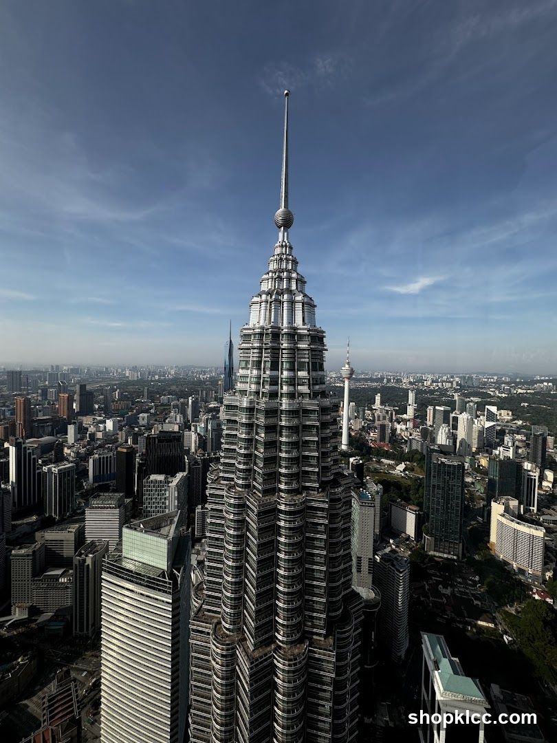 Aerial View of a City Skyline with Tall Buildings