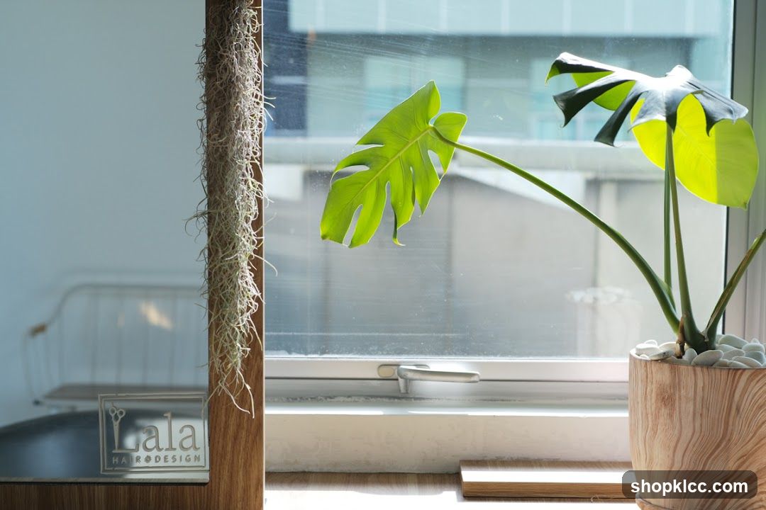 Interior view of a salon with plants and logo