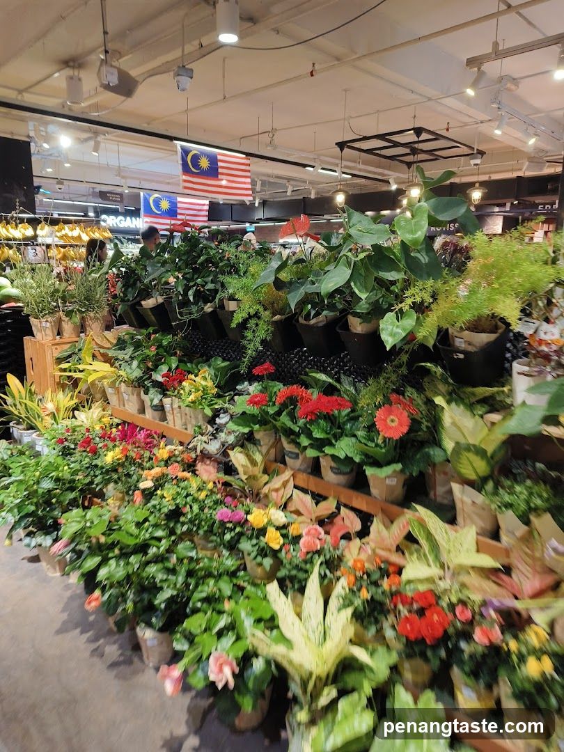 Indoor Plant Display