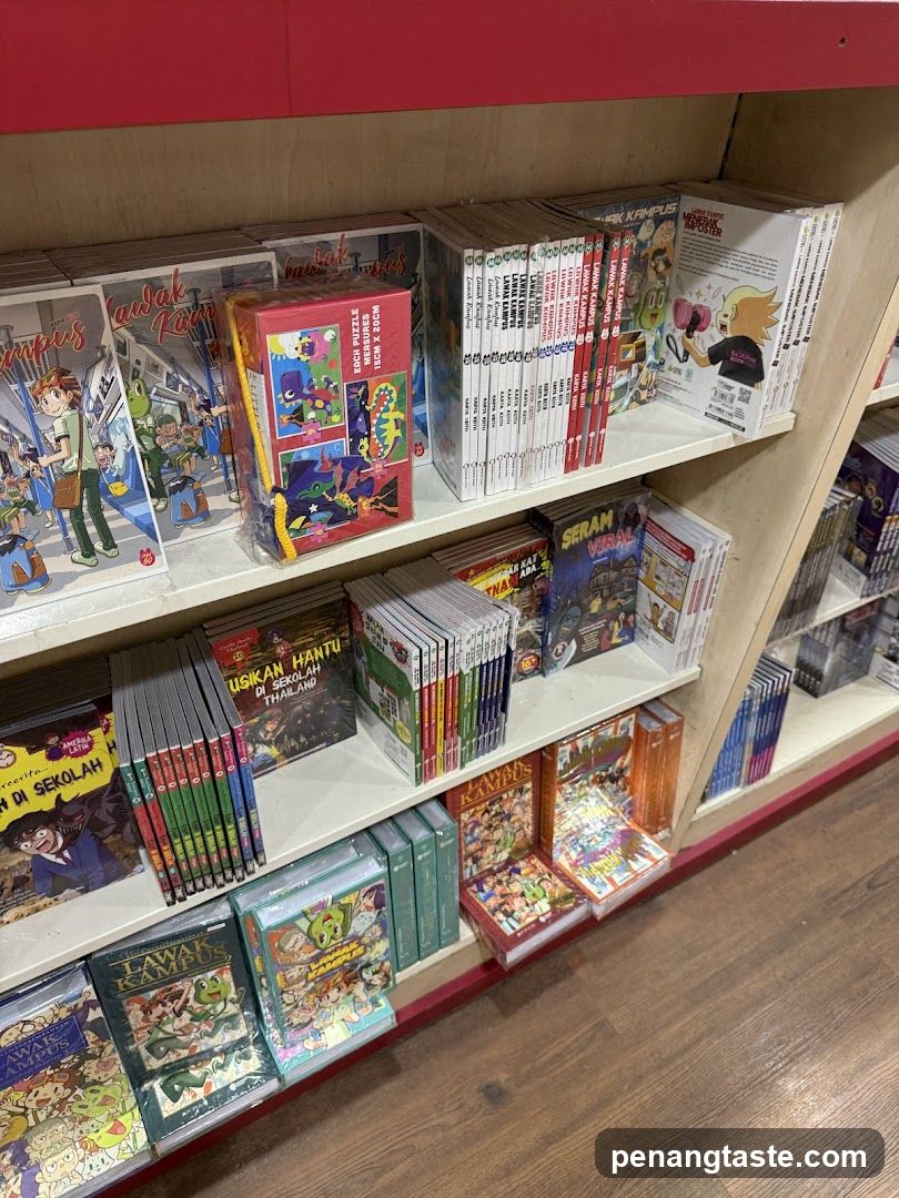 Books and Puzzles on Shelves