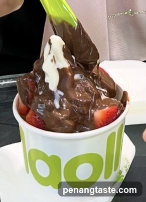Frozen Yogurt with Strawberries and Chocolate