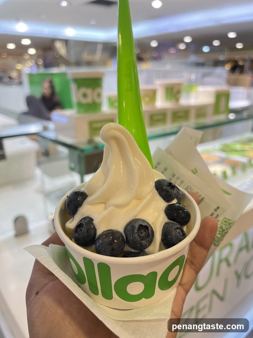 Frozen Yogurt with Blueberries