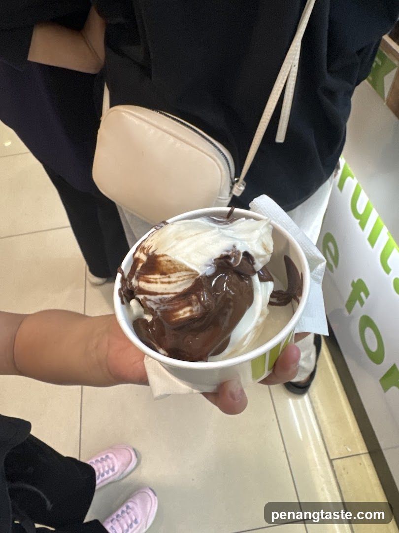 Ice Cream with Chocolate Sauce