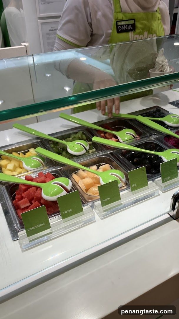 Frozen Yogurt Toppings