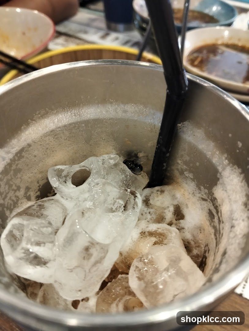 Iced Drink