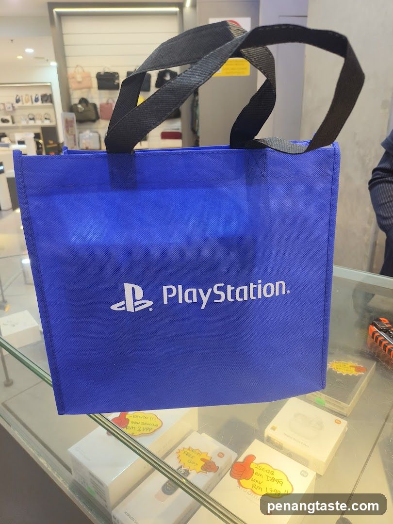 PlayStation Bag