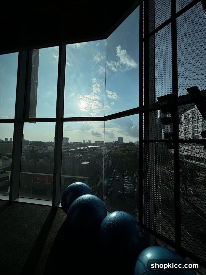 Gym Interior with City View