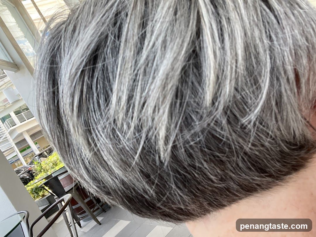 Close-up of Gray Hair