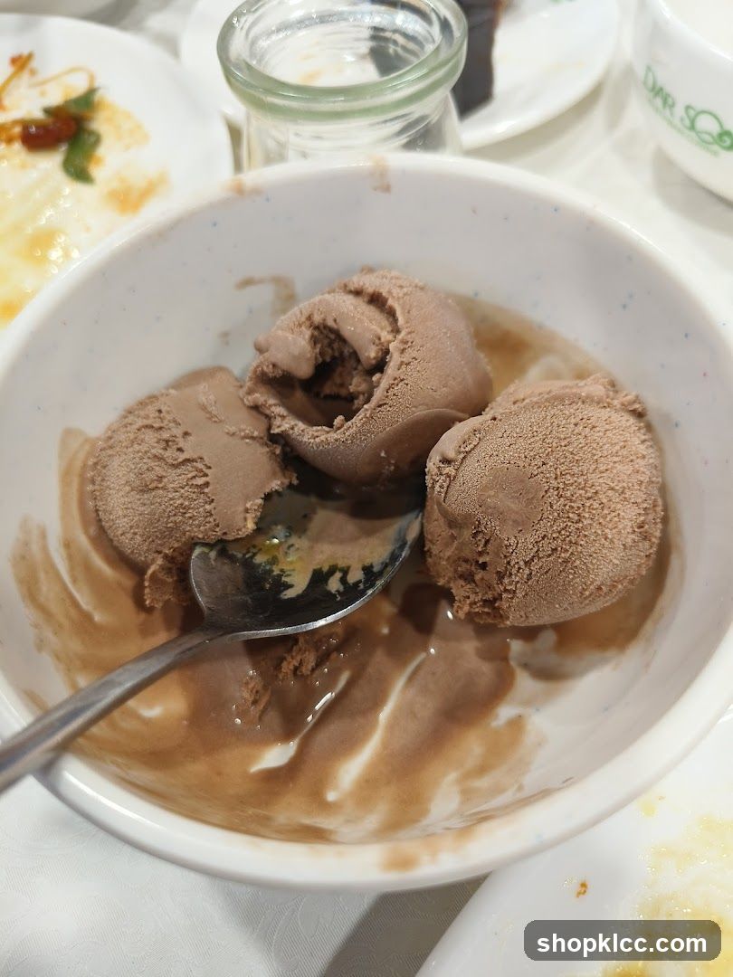 Chocolate Ice Cream Dessert