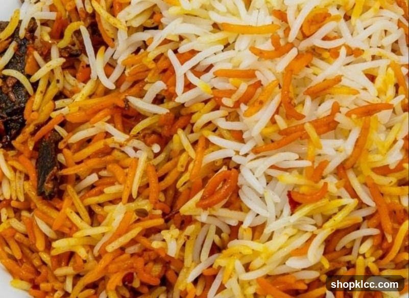 Biryani