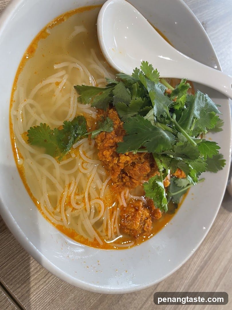 Noodle Soup with Cilantro