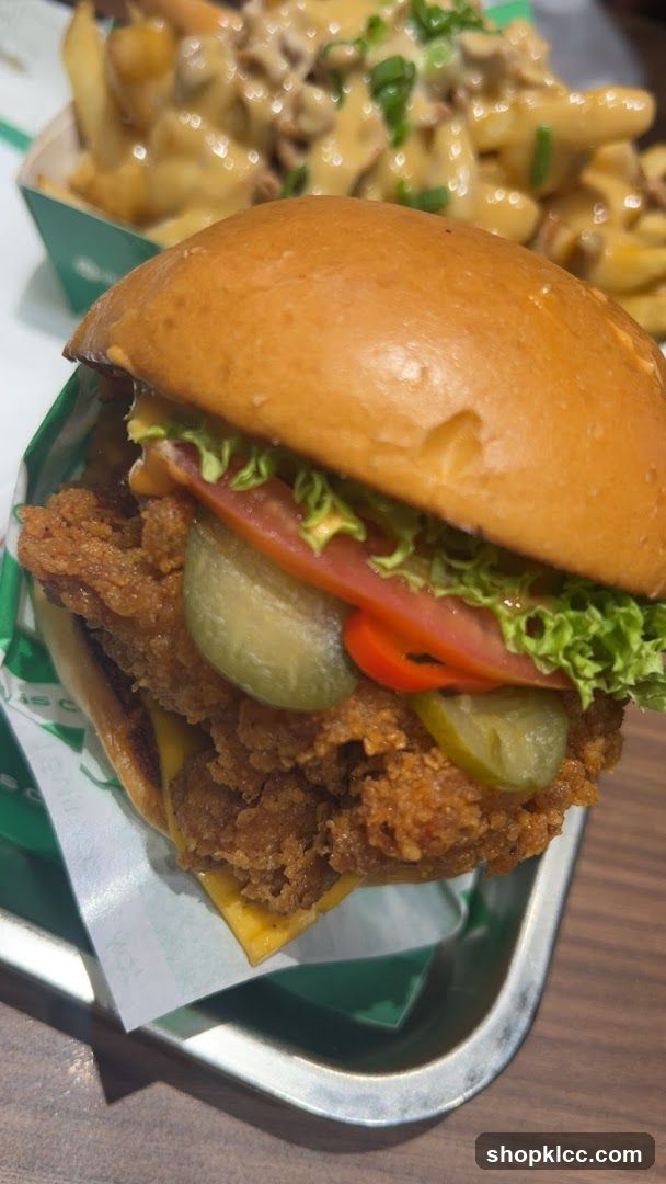 Crispy Chicken Burger and Loaded Fries