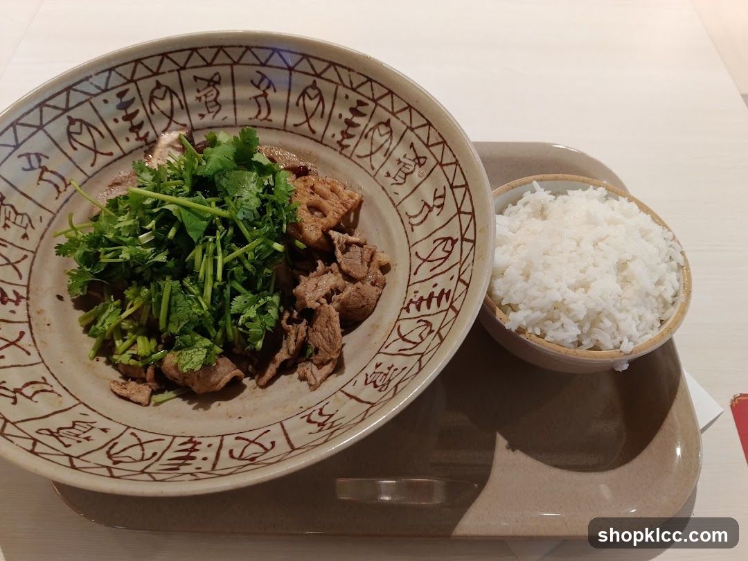 Beef and Cilantro Dish with Rice