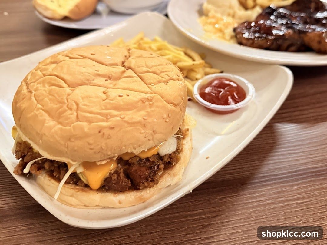 Burger with Fries and Ketchup