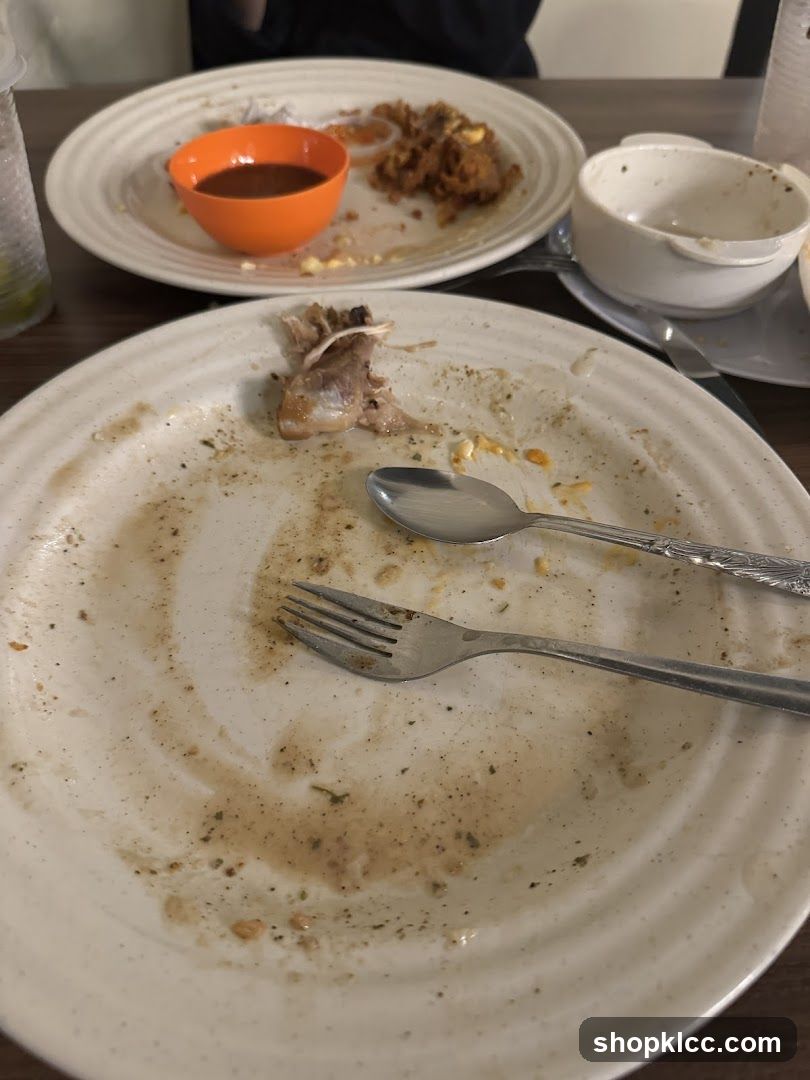 Dirty Plates After Meal