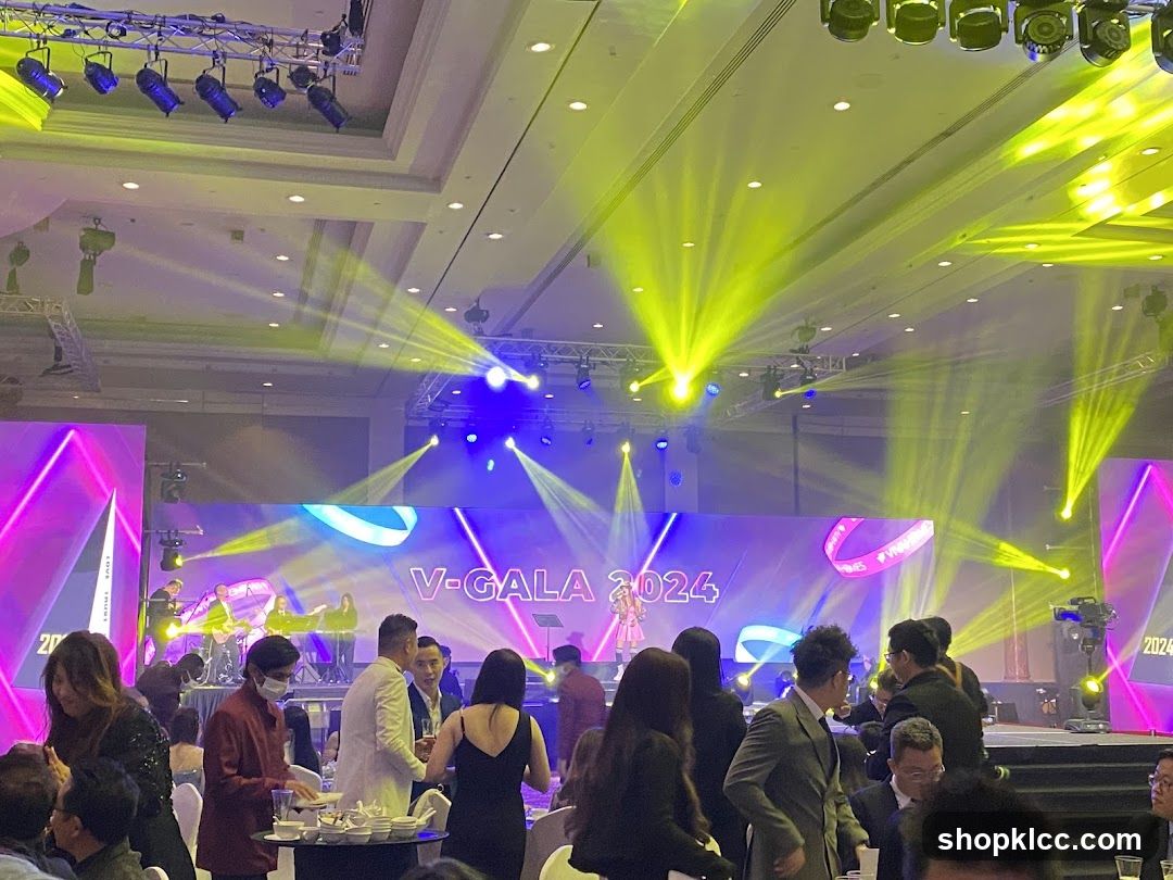 V-Gala 2024 Event